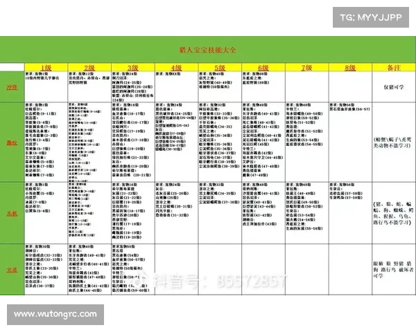 魔兽世界怀旧服：等级分配全解析